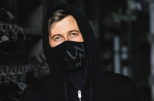 Alan Walker Net Worth